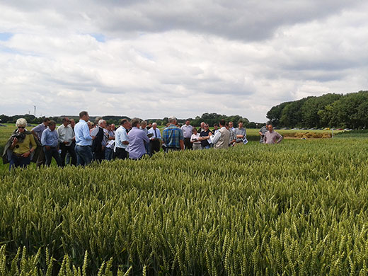 Versuchsbesichtigung