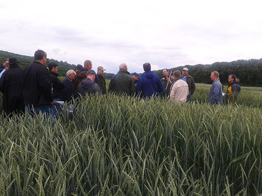 Meinungsaustausch am Dinkelfeld