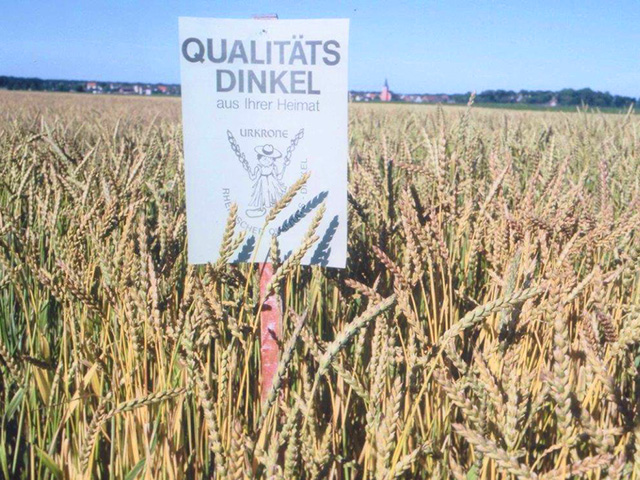 Qualitätsdinkel, Erzeugergemeinschaft Rheinischer Qualitätsdinkel w.V.